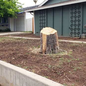 Exotic Landscaping Pros - front yard BEFORE - Landscaping Near Me - Sacramento, California Exotic Landscaping Pros - front yard BEFORE - Landscaping Near Me - Sacramento, California