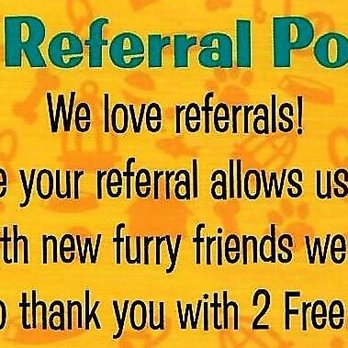 A Walk for All Seasons - A referral is the best compliment a company can receive - Dog Walkers Near Me A Walk for All Seasons - A referral is the best compliment a company can receive - Dog Walkers Near Me
