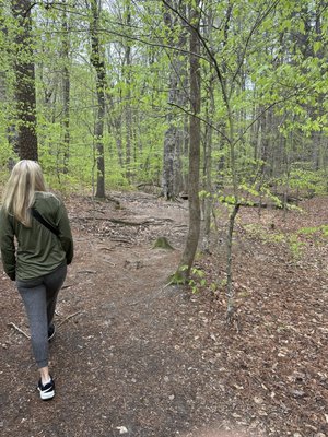 William B. Umstead State Park by null