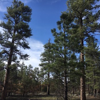 Ten-X Campground - Campgrounds Near Me - Tusayan, Arizona