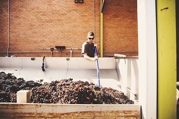 McPherson Cellars Winery by null