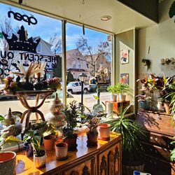 The Scent Queens Candle & Apothecary Shoppe