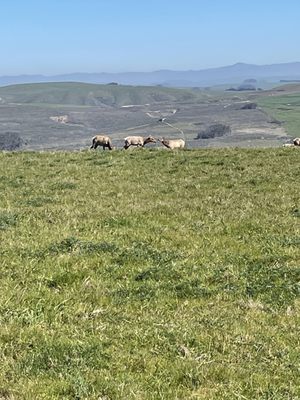 Tomales Bay Trailhead by null