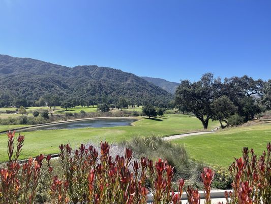 Zaidee's Bar and Grill by null