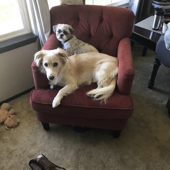 Petco - Pet Training Near Me - Spokane, Washington