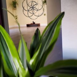 Lemon Grove Yoga And Massage - One can meditate on the seed of life while waiting in the reception area.
