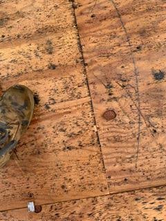 Slide of Magnify Group