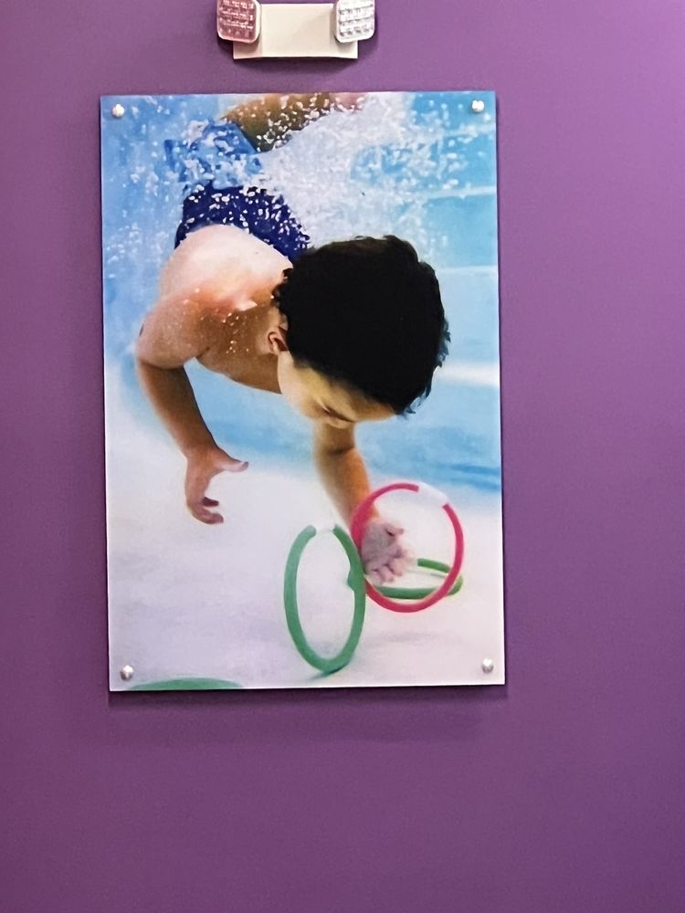 SAFESPLASH + SWIMLABS SWIM SCHOOL HOLLAND 19 Photos 1510 Spring