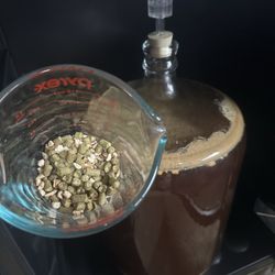 Stein Fillers - Amarillo hops and grapefruit peel ready to go into the carboy