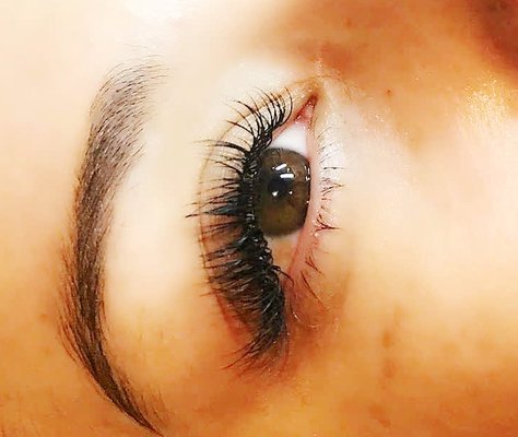 Wink Lashes by null