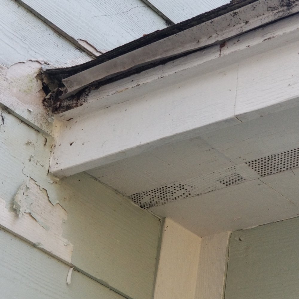 Slide of Kru's Outdoor Remedies