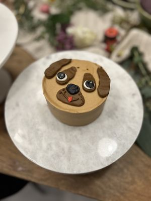 dbakers Sweet Studio by null