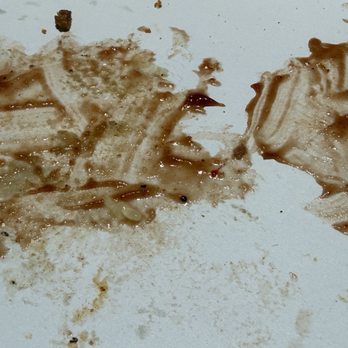 Big Dip Burgers - It was a massacre (wish there was more left lol) - Burgers Near Me - Walled Lake, Michigan