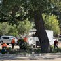Photo of Foothill Forest Care