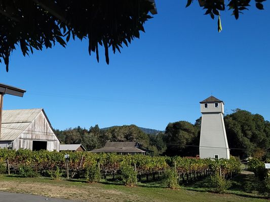 Handley Cellars by null