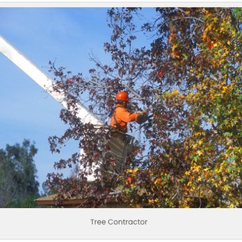 Brad's Friendly Tree Service - Tree Services Near Me - Morgan Hill, California Brad's Friendly Tree Service - Tree Services Near Me - Morgan Hill, California