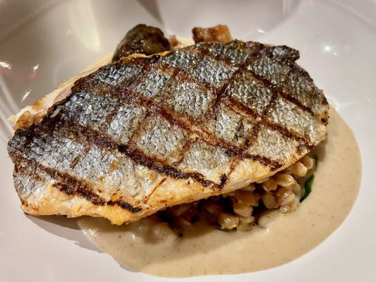 Ellie Bird by null Ellie Bird by null