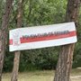 Photo of Larkspur Community Park