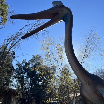 Sac Zoo - Quetzalcoatlus - Zoos Near Me - Sacramento, California