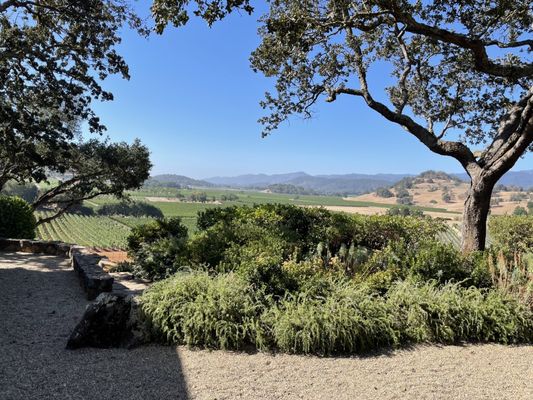 Gargiulo Vineyards by null