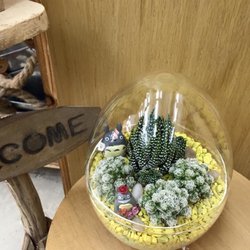 義發貿易公司