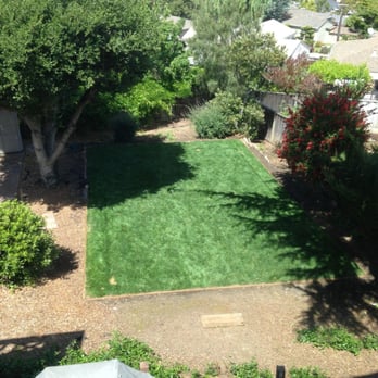Zarco Gardens Landscaping - Our backyard "AFTER" picture, just 5 days later (was put in complete with a sprinkler system while we were out of town). - Gardeners Near Me - San Mateo, California Zarco Gardens Landscaping - Our backyard "AFTER" picture, just 5 days later (was put in complete with a sprinkler system while we were out of town). - Gardeners Near Me - San Mateo, California
