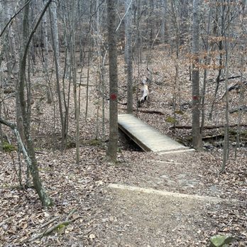 Eno Quarry - Bridge ish - Hiking Near Me - Durham, North Carolina