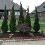 Complete Lawn care