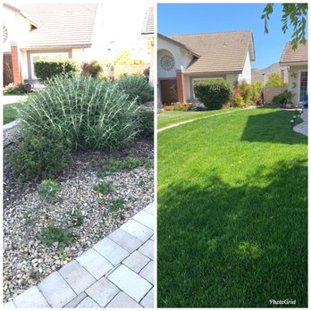 Jose The Gardener - Landscaping Near Me