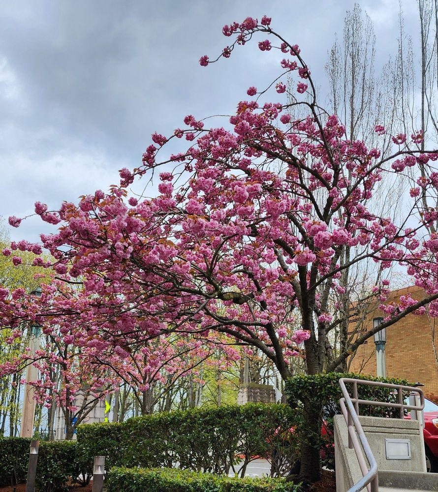 Pacific Medical Centers - Beacon Hill - patient advocate in Seattle, WA