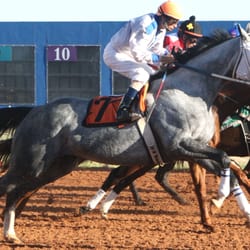 Zia Park Racetrack