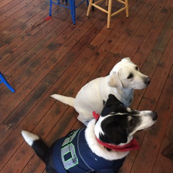 Paws For A Beer - Beer Gardens Near Me - Bellingham, Washington Paws For A Beer - Beer Gardens Near Me - Bellingham, Washington