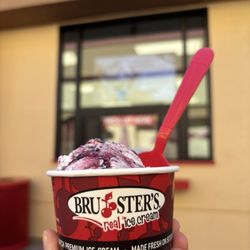 Blueberry cheesecake w/graham ice cream