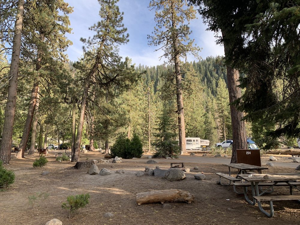 LODGEPOLE CAMPGROUND Open for Business 136 Photos & 100 Reviews