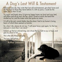 Gentle Pet Passings - A Dogs last Will & Testament