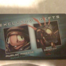 2010 in-game pet (World of Warcraft) and decals (Starcraft 2) code card 2010 in-game pet (World of Warcraft) and decals (Starcraft 2) code card