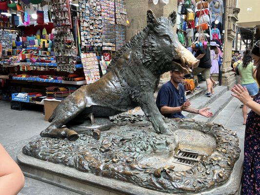 Fontana del Porcellino by null