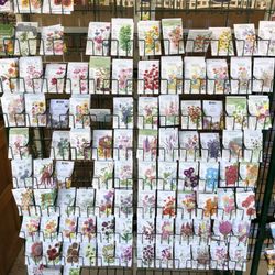 Mayo Garden Center - Organic seeds