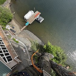 Apical Tree Service