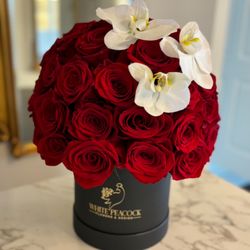 White Peacock Flowers & Design - Red Velvet Romance features 50 luxurious red roses in a sleek black satin box, accented with three elegant orchids. Timeless, sophisticated.
