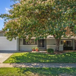 Endless Summer Landscape  - Front yard.