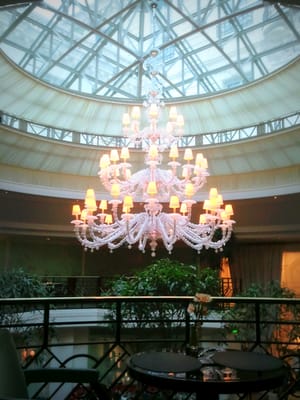 La Bauhinia by null