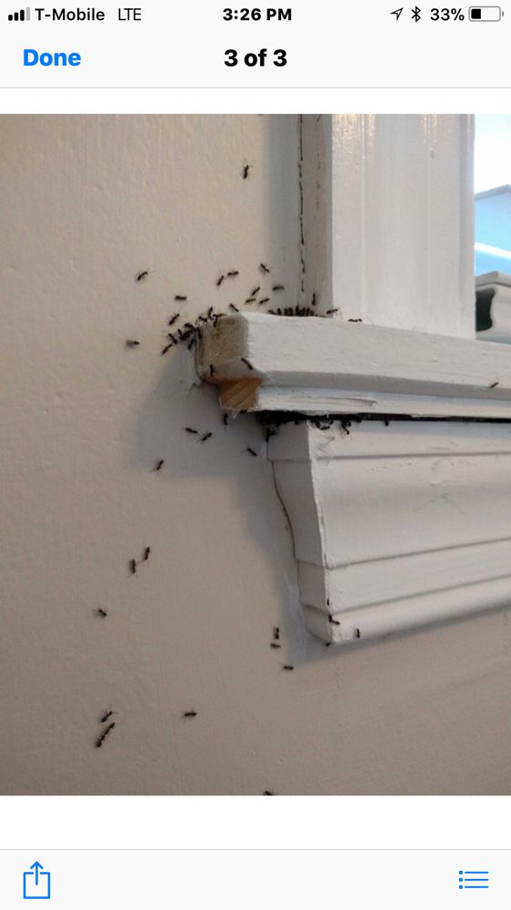 City & Suburbs Pest Control Company