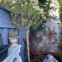 Connon Nurseries