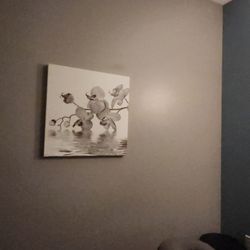 Hand & Stone Massage and Facial Spa - Inside massage room 3