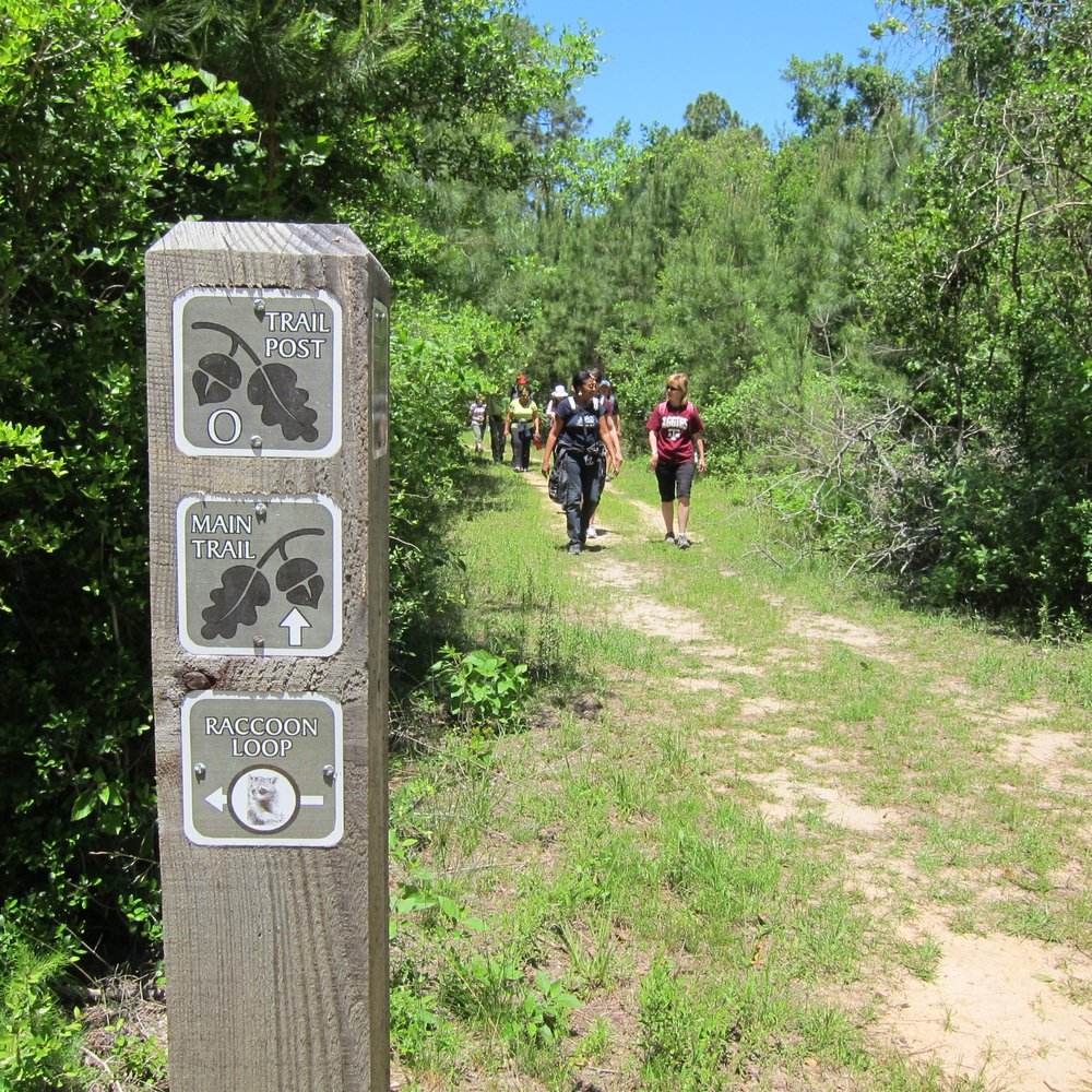 George Mitchell Nature Preserve - Trailheads - Parks Near Me - Spring, Texas George Mitchell Nature Preserve - Trailheads - Parks Near Me - Spring, Texas