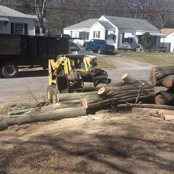 Perry's Tree Service - a pile of tree trunks - Tree Services Near Me
