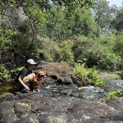 Bulls Bay Preserve - By the small waterfall.