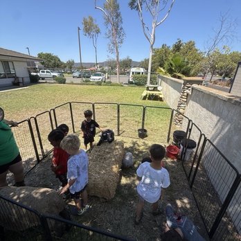 Carmel Mountain KinderCare - Petting zoo! - Child Care & Day Care Near Me - San Diego, California