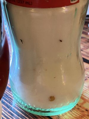Tacos El Regio NC by null